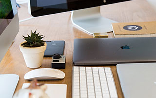 唐斯远投命中，森林狼战术多样化显现